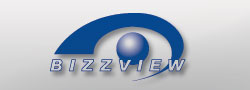 BizzView